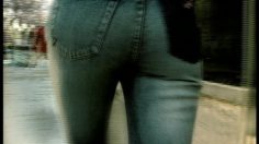 poster-2681-fox-a-la-recherche-du-corps-perdu-236x132