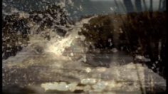 poster-2685-meltin-pot-frog-236x132