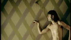 poster-2761-leroux-chicoree-egyptiens-236x132