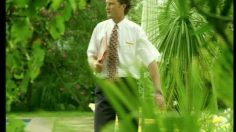 poster-2775-spies-l-arbre-236x132