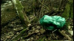 poster-2780-valintatalo-supermarche-sac-236x132