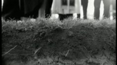 poster-2807-spare-no-reversing-236x132