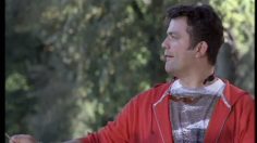 poster-2812-hdi-insurance-dog-236x132