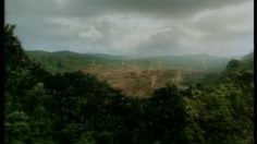 poster-2823-pages-jaunes-welcome-to-the-jungle-236x132