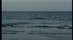 poster-2835-optimus-3g-la-baleine-236x132