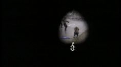 poster-2861-amnesty-international-emeutes-236x132