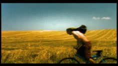 poster-2864-protection-animaux-st-francis-of-assisi-animal-shelter-bump-236x132