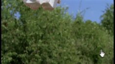 poster-2872-protection-enfance-anti-pedophilie-la-balancoire-236x132