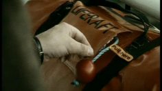 poster-2913-sweco-bouee-de-sauvetage-236x132