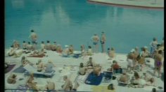 poster-2925-sky-satellite-tv-wild-life-236x132