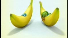 poster-2942-chiquita-dilemma-236x132