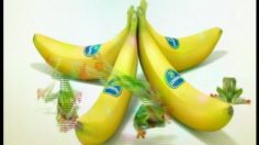 poster-2945-chiquita-musical-chair-236x132