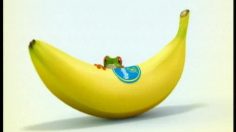 poster-2946-chiquita-test-236x132