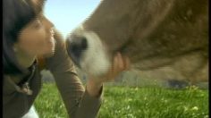 poster-2956-chio-chips-licks-236x132