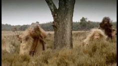 poster-2960-mcdonald-s-mammoth-236x132