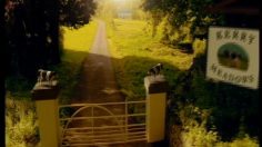 poster-2962-kerrymaid-pampered-cows-236x132