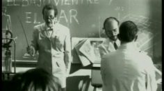 poster-2976-tropical-on-the-beach-236x132