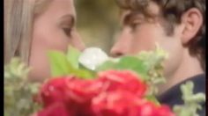 poster-301-salon-selectives-customize-your-family-236x132