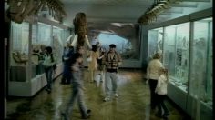 poster-3010-foxtrot-photocamera-236x132