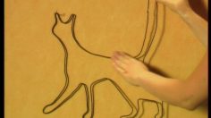 poster-3031-protection-animaux-importstop-org-cat-236x132