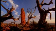 poster-3032-anti-pauvrete-anti-famine-famine-236x132