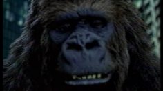 poster-304-swisscom-joker-236x132