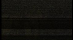 poster-3048-anti-exclusion-protection-des-aveugles-insemination-236x132