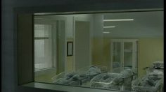 poster-3051-amnesty-international-solidarite-babies-236x132