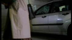 poster-3056-protection-animaux-enpa-it-shadows-236x132