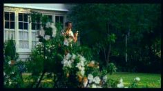 poster-3079-motorola-a1000-paperboy-236x132