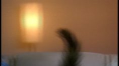 poster-3101-febreze-fabric-refresher-pet-236x132