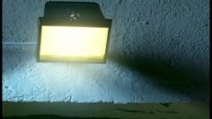 poster-3105-reckitt-benckisser-fogo-insecticide-light-236x132