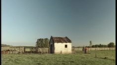 poster-3107-canon-eos-350-d-playtime-236x132