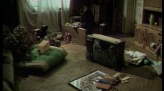 poster-3110-davio-frere-et-soeur-236x132