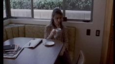 poster-3112-olympus-distorted-dogs-236x132