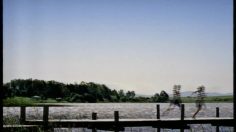 poster-3126-volkswagen-golf-plus-more-room-236x132