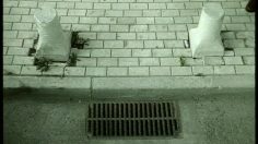 poster-3133-audi-a4-faces-1-236x132