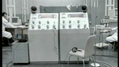 poster-3139-fiat-punto-the-chicken-236x132