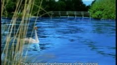 poster-3141-volkswagen-swan-236x132