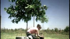 poster-3151-hasselfors-the-hammock-236x132