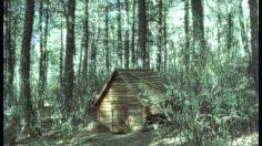 poster-3178-festival-de-films-sitges-sci-fi-fantasy-film-festival-the-three-little-pigs-236x132