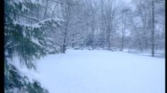 poster-3189-endless-pain-piercing-tatoo-piercing-bells-236x132