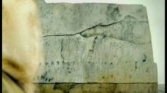 poster-3207-guinness-extra-cold-esquimau-236x132