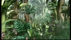 poster-3211-petra-magazine-feminin-jungle-236x132