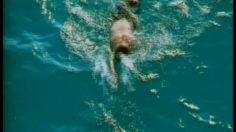 poster-3223-moshi-moshi-sushi-jaws-236x132