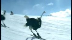 poster-3234-japan-snow-project-jr-ski-triple-jump-236x132