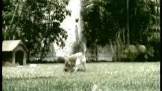 poster-3263-tinka-lotto-petrol-236x132