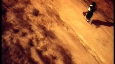 poster-3306-nike-sauterelles-smashees-236x132