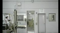 poster-3345-guru-energy-drink-mustard-mishap-236x132