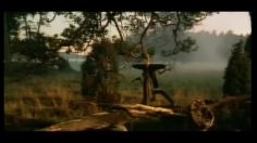 poster-3354-helsinki-international-film-festival-love-and-anarchy-236x132